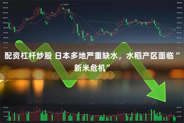 配资杠杆炒股 日本多地严重缺水，水稻产区面临“新米危机”