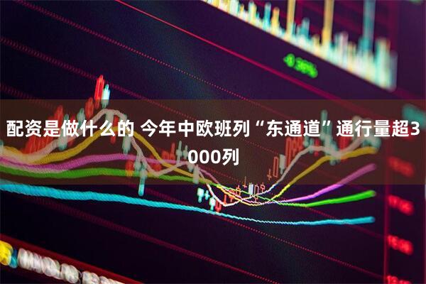 配资是做什么的 今年中欧班列“东通道”通行量超3000列